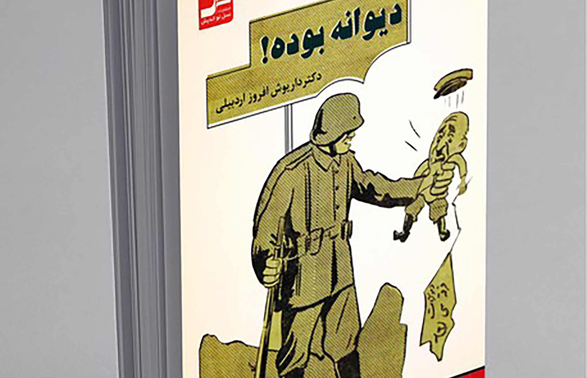 معرفی و بررسی کتاب داستانی«دیوانه بوده»